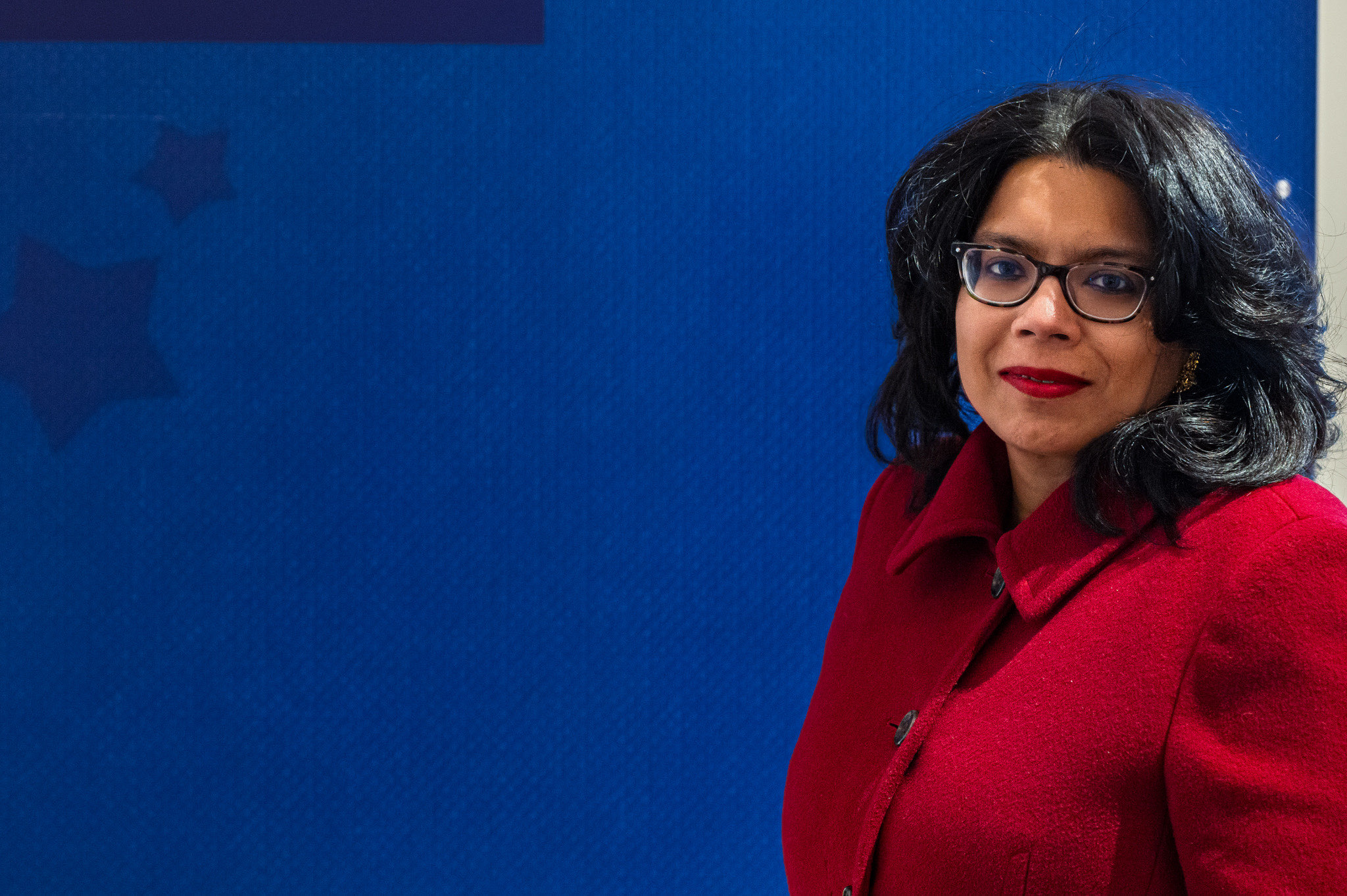 Mona Roy, candidate for Lexington School Committee